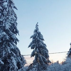 Meet your Posher, Kenzie